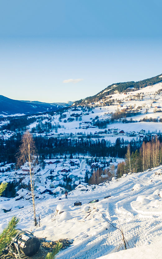 Anders Medhus - for Petterbråten Panorama og Hallingdal Hytteservice