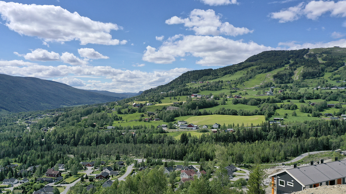 Kongen på haugen