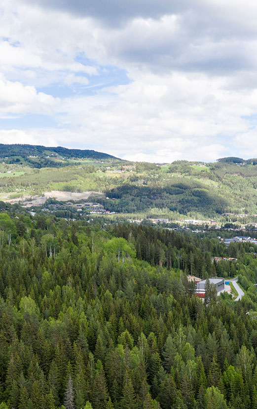 Anders Medhus - for Petterbråten Panorama og Hallingdal Hytteservice